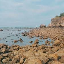 Check spelling or type a new query. Keunikan 5 Pantai Cantik Di Rembang Ini Wajib Kamu Jelajahi