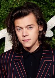 900+ Harry Styles ideas