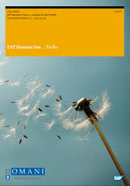 Sap Business One To Go 9 2 Userguide Domani Business Solutions