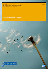 sap business one to go 9 2 userguide domani business solutions