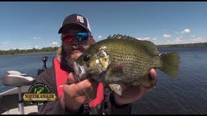 See more ideas about classic rock, sg guitar, bass guitar. Trophy Rock Bass Fishing In Manitoba Manitoba Master Angler Minute Youtube
