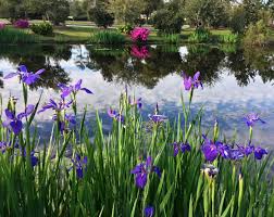 Check out our year round flowers selection for the very best in unique or custom, handmade pieces from our shops. Southeast Spring 2020