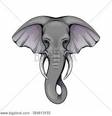 We did not find results for: Colorful Elephant Vector Photo Free Trial Bigstock