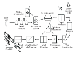 Process Flow Diagram Bioprocess Wiring Diagrams Reset