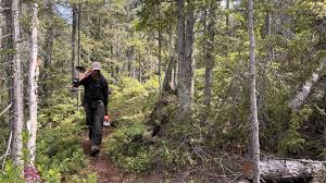 Vivi2freaky subscriber videos she was really sweet while