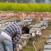 bee farming from www.thehindubusinessline.com