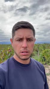 Productor amigo vende uva Malbec 2025. Se busca bodega que quiera comprar !  . . . #Mendoza #uva #wine #vineyard #argentina #video #tiktokviral #tik_tok  #pourtoi #motivation #popular #king ...