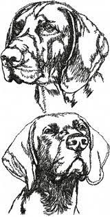 German shorthaired pointer dogs are a gun dog breed that weigh between 45 and 70 pounds, growing up to 25 inches tall. Advanced Embroidery Designs German Shorthaired Pointer Set