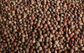 Fai appassire leggermente la cipolla e poi aggiungi. Come Cucinare Le Lenticchie Idee Green