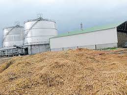 The energy content of rice straw is around 14 mj per kg at 10 percent moisture content. Don T Burn Paddy Straw Iitians Offer Alternative Deccan Herald