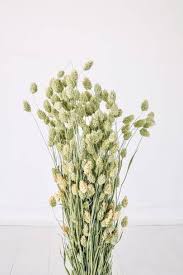 Abstract background of dry medicinal herbs. Dried Flowers 30 Best Dried Flowers To Shop Glamour Uk