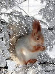 Nachfolgend findest du eine galerie solcher gif bilder zum geburtstag kostenlos. Pin Von Dorn Rosschen Auf Sezony Katze Weihnachten Weihnachtsbilder Weihnachtsdruck
