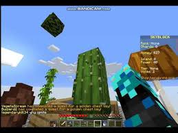 All of this with top class economy? Minecraft Herobrine Server Skyblock 1 Youtube