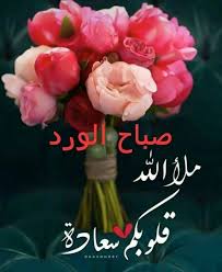 pin by ali salama on صباح مساء good morning beautiful quotes good morning image quotes good morning arabic