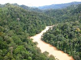 Sungai serawak terletak di barat daya negara bagian serawak, malaysia. Tropische Regenwalder Und Die Rajang Fluss In Sarawak Ost Malaysia Die Rajang Ist Der Langste Fluss In Malaysia Lizenzfreie Fotos Bilder Und Stock Fotografie Image 885731