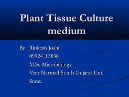 It has a lower salt concentration and a higher concentration of mgso4. Plant Tissue Culture Medium