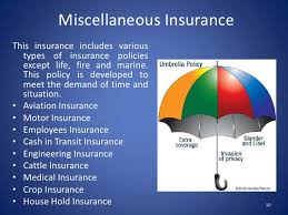 The insurance policy sets out all the terms and conditions of the contract between the insurer and insured. Insurance