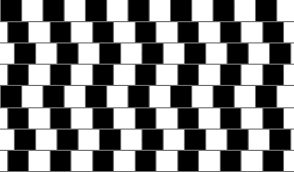 Image result for illusion pictures