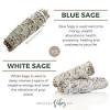 Indicators include canyon live oak, interior live oak, blue oak, valley oak, and california species of sage (salvia spp) alone or in combination (pseudo51: 1