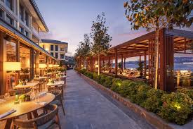 Image result for Olea