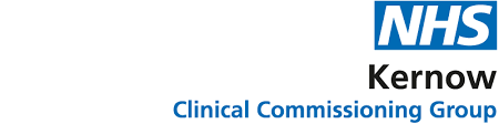 How to fill it out so it looks legitimate. Covid 19 Vaccine Information Nhs Kernow Ccg Nhs Kernow Ccg