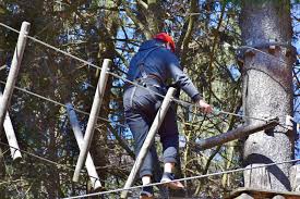 With zip lines, treetop ropes courses, mini golf tip: Mt Hood Adventure Park At Ski Bowl Discover Mt Hood Skiing