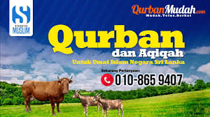 Solidaritas muslim salurkan 5 ekor sapi & 16 ekor kambing di pelosok negeri. Isu2019 Qurbanmudah Com