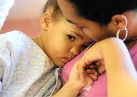 Vet reported Lech in 2011