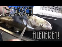 We're not even close to this technology.. Dorsch Filetieren Leicht Gemacht Die Richtige Technik Youtube Dorsch Angeln Dorsch Filetieren