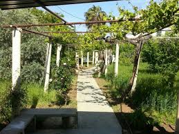 grosselternhaus ibtaa daraa