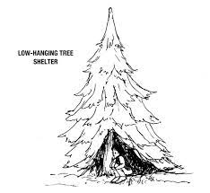 A tree shelter, or tree guard, is a type of plastic shelter used to nurture trees in the early stages of their growth. How To Build A Winter Shelter Awordpresssite
