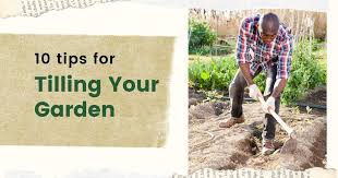 How often should you wash your duvet? Don T Plant Immediately After Tilling And 9 Other Tilling Tips Crate And Basket
