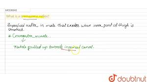 Image result for Cremasteric Reflex