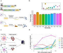 Image result for tbn:iAL9P1fP6VbKpM::loschicosdeclase.nireblog.com/blogs/loschicosdeclase/files/ecala.jpg