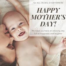 Coco + Moss (@coco_moss) • Instagram photos and videos