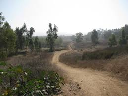 See the map for the trails we bring plenty of water and sunscreen. Hiking Santiago Oaks Regional Park To Irvine Regional Park The Short Loop 5 2 Miles Irvine Irvine Park Hiking
