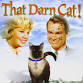 Midweek Matinee: That Darn Cat