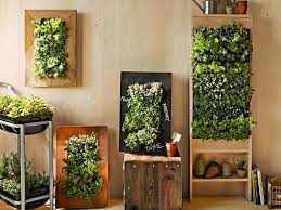Collection by bronwyn holmes • last updated 5 weeks ago. Vertical Gardens Diy