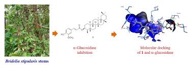 Image result for Bridelia ferruginea