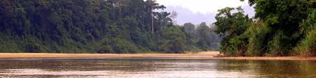 Enthrall in this pleasant trip through taman negara which is a 130 million years old tropical rainforest home to some of start your tour at 6.30 am after getting picked up from your hotel in a shared vehicle from kuala lumpur and reach the tour locality. Taman Negara National Park Wikitravel