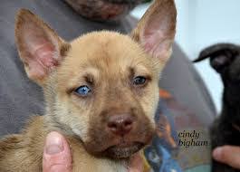 Bianca Bunch's Instagram, Twitter & Facebook