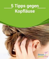 5 tipps gegen kopflause besser gesund leben besser gesund leben gesund leben was tun gegen lause