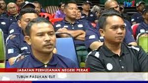 Get their location and phone number here. Jabatan Perhutanan Negeri Perak Tubuh Pasukan Elit 15 Nov 2017 Youtube