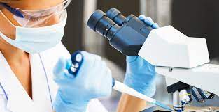 Infectious Disease Einstein Health