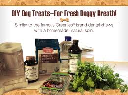 diy dog treats homemade natural