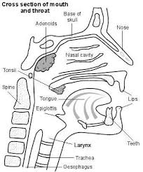 Throat cancer is a general term that applies to cancer that develops in the throat (pharyngeal cancer) or in the voice box (laryngeal cancer). Throat Cancer Laryngeal Cancer Causes Symptoms Signs Treatment Patient