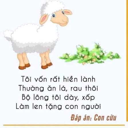 Câu đố về con vật giúp phát triển tư duy cho trẻ mầm non