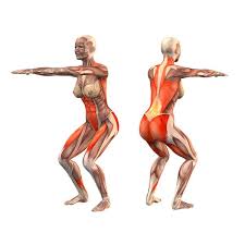 Yoga Com Yoga Anatomy Yoga Asanas Yoga Muscles