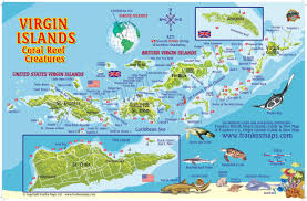 The ideal location of the island lands in the east of puerto rico. Virgin Islands Map Coral Reef Creatures Guide Franko Maps Laminated Fish Card Franko Maps Ltd 9781931494205 Amazon Com Books