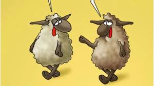 Ένα σκίτσο του αρκα που αξίζει! Arkas H Periplokh Syzhthsh Twn Probatwn Enopsei Pasxa Ellada Eidhseis
